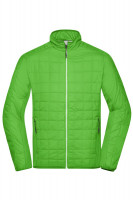 Spring-green/silver (ca. Pantone 368C
421C)